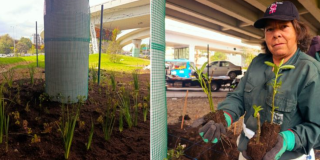 Imagen de persona renaturalizando el sector del puente vehicular de la calle 92
