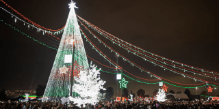 Imagen de un árbol gigante de navidad 