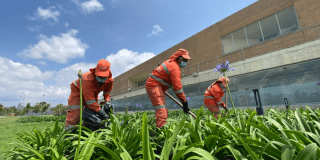 Imagen de personas arreglando los jardines