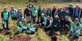 Fotos de la plantación de 164 nuevos árboles y arbustos en Ciudad Bolívar, al sur de Bogotá.