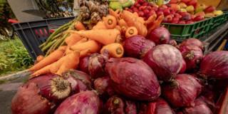 Apoyos y subsidios para campesinos y comerciantes en Bogotá 2026