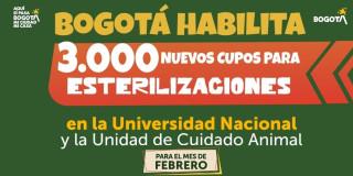 Pieza gráfica de jornada de esterilización.