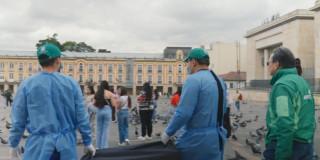 Foto de funcionarios de Protección Animal en la Plaza de Bolívar, realizando procesos de cuidado y esterilización de palomas.