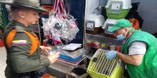 Foto del operativo en la Plaza de Mercado de 20 de Julio.