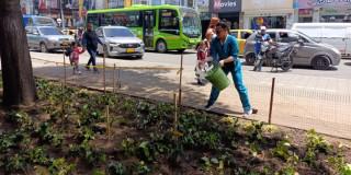 Foto de la comunidad en plantación y cuidado de árboles. 