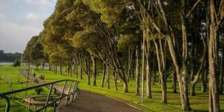 Simón Bolívar Park Bogotá is the first carbon-neutral park in Latam