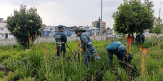 Imagen de funcionarios realizando mantenimiento a las jardineras.