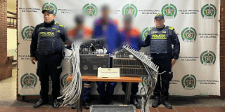 Imagen de los capturados junto a dos policías