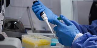 Médico revisando una donación de sangre 