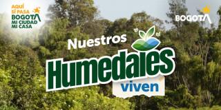 Imagen gráfica del evento 'Humedales viven' 