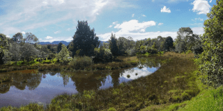 Foto de un humedal en Bogotá