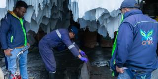 Funcionarios de la CAR realizando operativos frente al delito ambiental