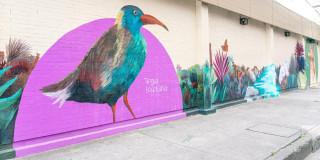 Mural de la Tingua Bogotana 