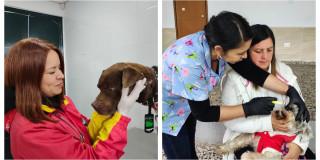 Personas cuidando animales en Usme