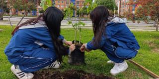 Niñas sembrando árboles 