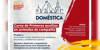 Imagen con información del curso virtual gratuito