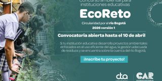 Pieza gráfica de la CAR