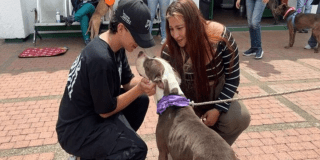 Imagen de la perrita con su nueva familia