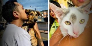 Foto de dos mascotas con sus dueños en Bogotá.