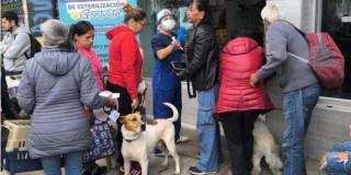 Ciudadanos con sus mascotas en jornada de esterilización en Barrios Unidos.