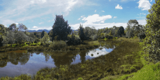 Imagen de humedal en Bogotá