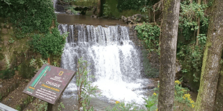 Imagen de una cascada donde se realizan caminatas 