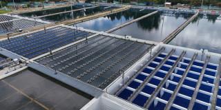 Foto que muestra la planta Tibitoc 