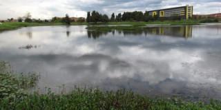 Imagen de Humedal Capellanía de Bogotá