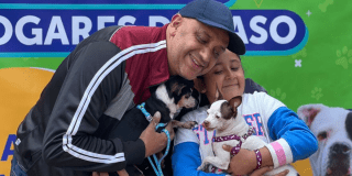 Imagen de personas adoptando unos perros