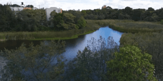 Imagen panorámica del Humedal Santa María del Lago