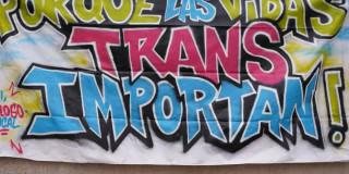 Grafiti que dice: "Porque las vidas trans importan"