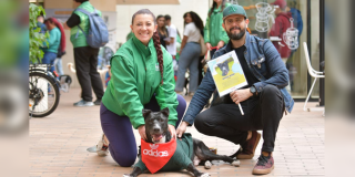 Imagen de un perro disfrutando de una salida 