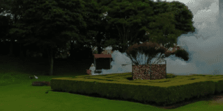 Imagen de persona fumigando el parque