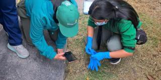 Foto de funcionarios del IDPYBA realizando labores de investigación.