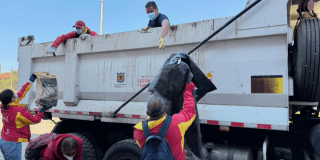 Foto de funcionarios del Distrito en operativo de limpieza