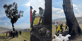 Imagenes del Palo del Ahorcado mientras las entidades distritales trabajan en su recuperación.