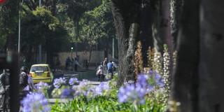 Foto de una vía de Bogotá donde resaltan bicicletas