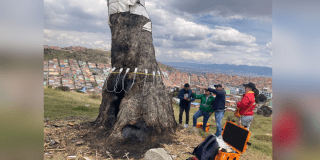 Imagen del Árbol dela Vida