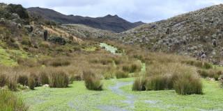 Foto del Páramo de Sumapaz en el sur de Bogotá.