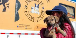 Foto de una mujer junto a su mascota en Bogotá.