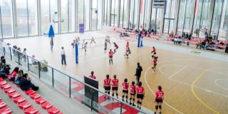 mujeres jugando voleibol 