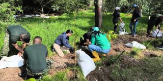 personas sembrando plantas en un parque