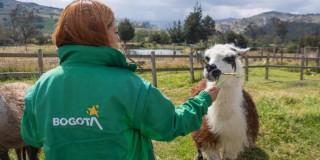 Persona alimentando a llama