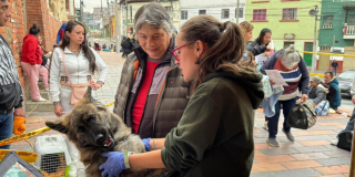 Foto de un funcionario ayudando a un ciudadano con su mascota
