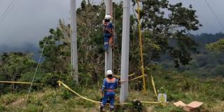 Foto de trabajadores de Enel Colombia realizando revisión de redes de energía.