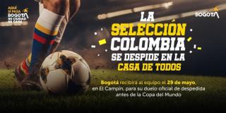 Imagen de un jugador pateaado un balón de fútbol 