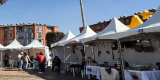 Imagen de diferentes carpas