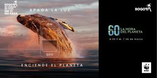 Imagen de luna ballena en el mar