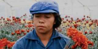 Imagen de Cine en voz de mujer