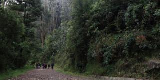 Foto que muestra un sendero ecológico 